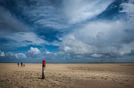 Wandeling langs het strand van Guus Quaedvlieg thumbnail