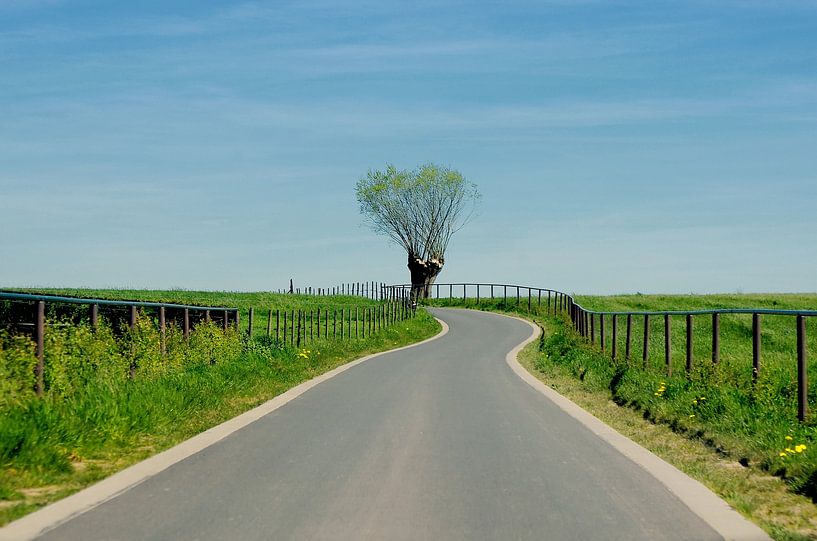 Toujours sur la route par Marlies Prieckaerts