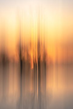 Meinerswijk Teil 103