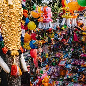 Colourful elephant next to toys during festival in Kerala, south of India by Robin Patijn