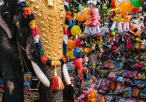 Bunter Elefant neben Spielzeug während des Festivals in Kerala, Südindien von Robin Patijn