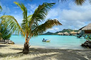 Luxe resort met strand en palmboom op Bora Bora