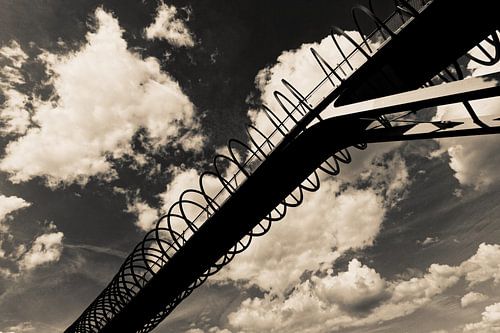 Slinky Springs To Fame (7-141022) B+W