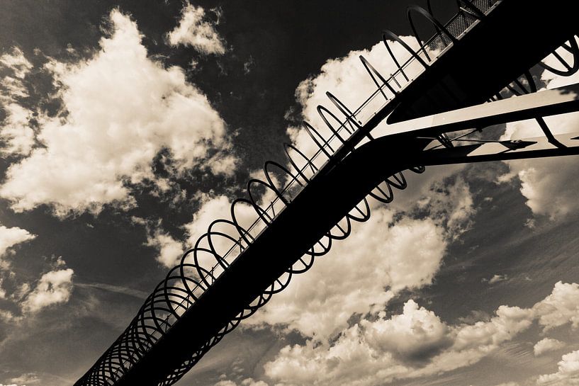 linky Springs To Fame (7-141022) B+W par Franz Walter