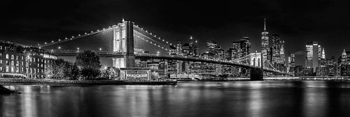 Grandioze skyline van NYC vanaf de waterkant in Brooklyn | Panorama Monochrom