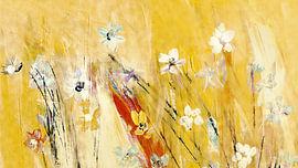 Variété de fleurs sur Claudia Gründler