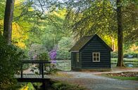 The mysterious cottage by Moetwil en van Dijk - Fotografie thumbnail