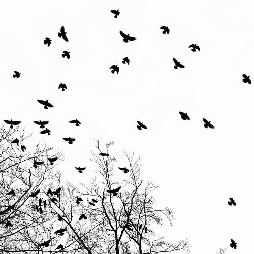 Get out of the frame