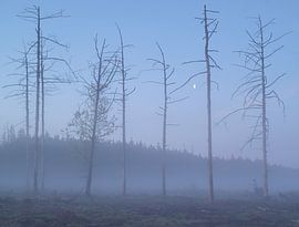 Sunrise at Dwingelderveld – Drenthe (Netherlands) by Marcel Kerdijk