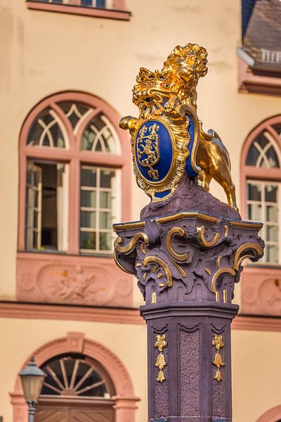 Marktbrunnen vor altem Rathaus, Wiesbaden van Christian Müringer