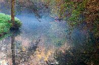 Herfst natuur reflecties van Peter de Kievith Fotografie thumbnail