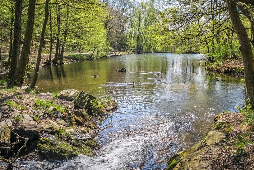 Vijver in het kuurpark van Königstein van Christian Müringer