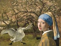 De bedreigde zwaan schrikt van het meisje met de Parel