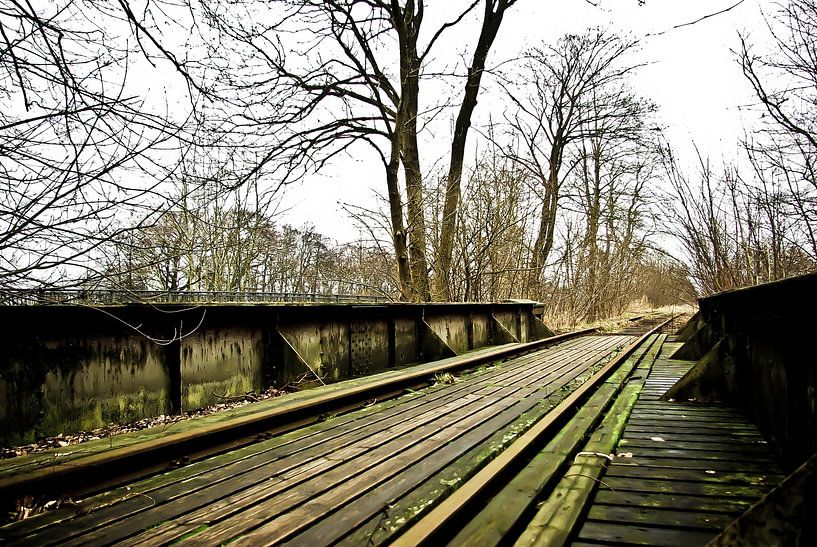 disused railroad line #1 by Norbert Sülzner