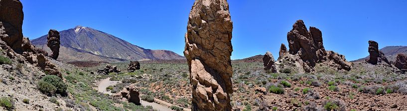 Beim Teide auf Teneriffa von Ingo Laue