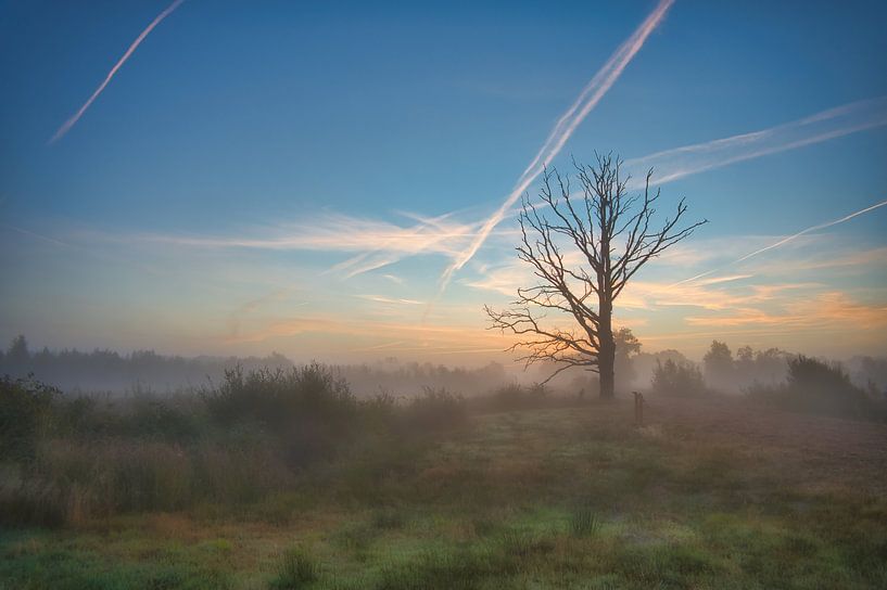Mist over het land van Miny'S