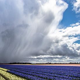 April doet wat hij wil van Jannie de Graaf