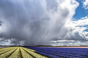 April macht, was er will von Jannie de Graaf