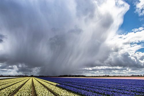April fait ce qu'il veut sur Jannie de Graaf