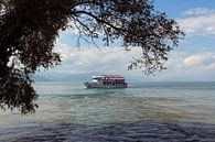 Doorkijk over het meer van Ohrid, Macedonie van Paul Franke thumbnail