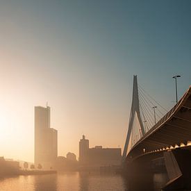 The Erasmus Bridge in glowing morning light by Henno Drop
