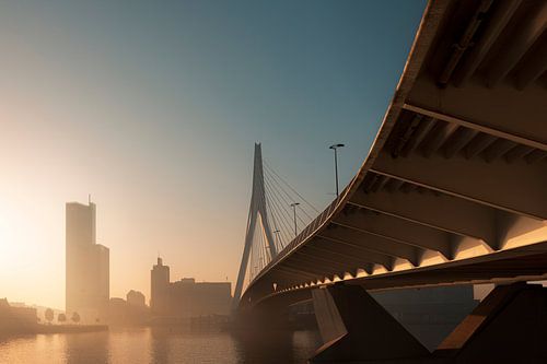 The Erasmus Bridge in glowing morning light by Henno Drop