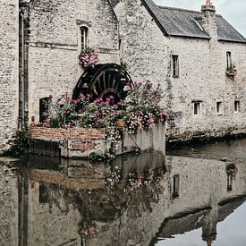 Water wheel with flowers sur Aline van Helden