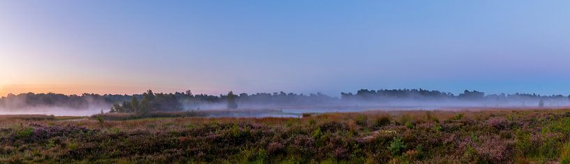 Panorama of the Kampina with fog by Stephan Krabbendam