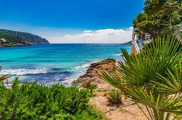 Schilderachtig zeezicht op de baai van Sant Elm, eiland Mallorca Spanje van Alex Winter