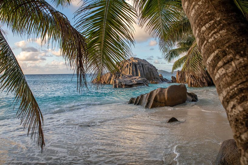 Anse Patates (La Digue / Seychelles) par t.ART
