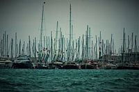 Sailing boats in the harbor.