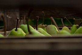 Organic Dutch pears by Anne Van Opdorp