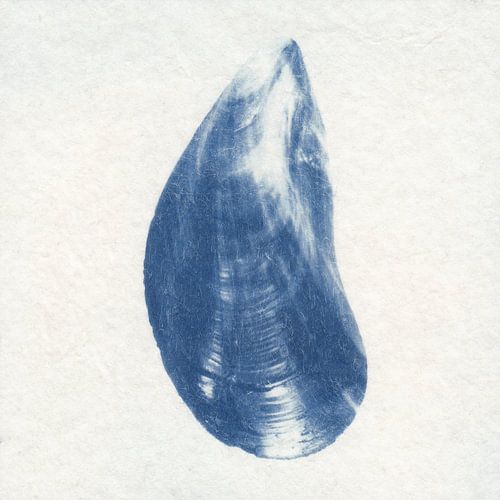 Mossel van Natasja Vugts