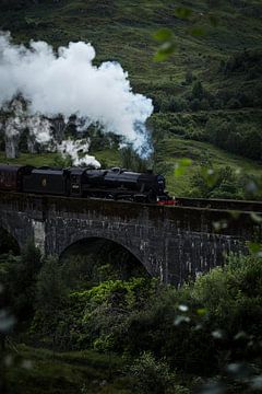 Harry Potter trein van Ken Costers