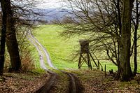 Der Weg durch den Wald