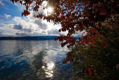 Herbstlicher Bodensee