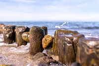 Buhne an der Ostsee