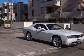 Dodge Challenger musclecar von Atelier Liesjes