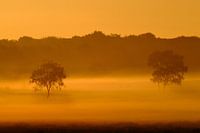 Magische zonsopkomst