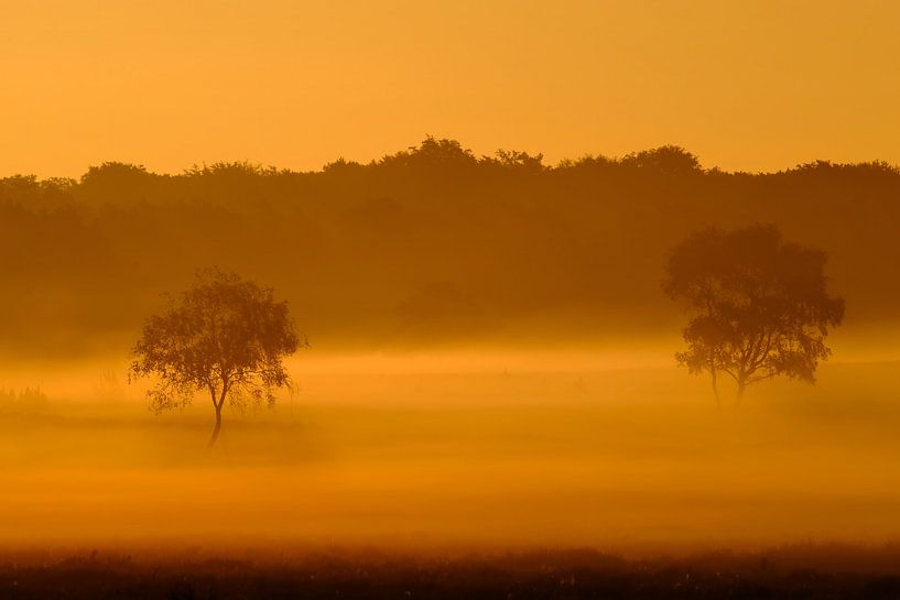 Magical sunrise by NatureBliss