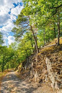 Landschaft mit Felsen und Bäumen entlang Waldweg in Edertal Sauerland Deutschland