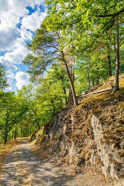 Landschap met rots en bomen langs bospad in Sauerland Duitsland van Ben Schonewille