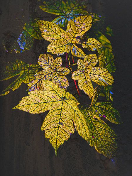 Herfstblad van Rob Boon