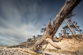 Weststrand VII van Axel Ellerhorst