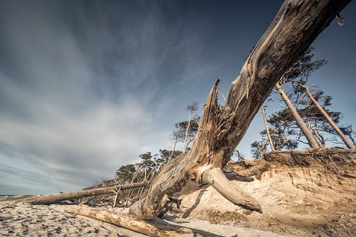 Weststrand VIII