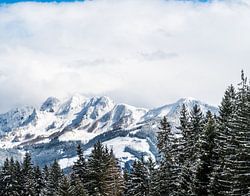 Schneeberge in den Alpen