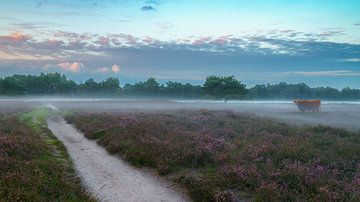 Drentse heide panorama view van Martijn Brink