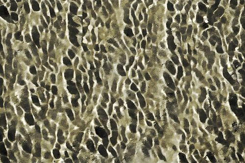 'Sunlight on Water and Sand': a painting of reflective seawater on the beach