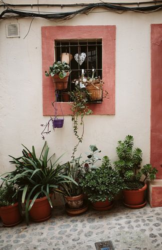 Grün hinter Gittern