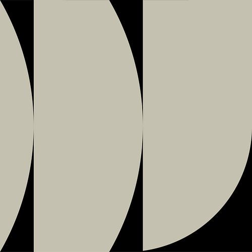 Zwarte Geometrische Vormen en Lijnen nr. 8